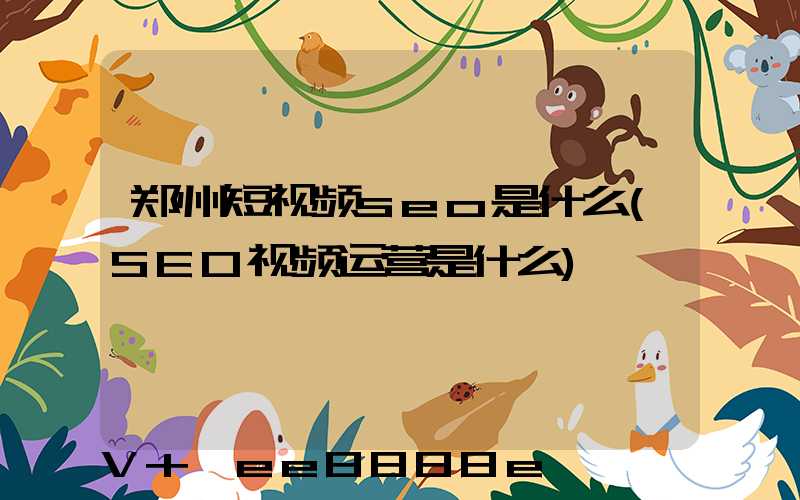 郑州短视频seo是什么(SEO视频运营是什么)