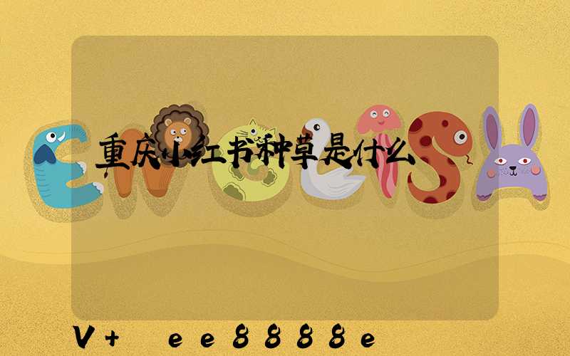 重庆小红书种草是什么