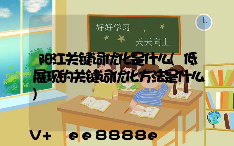 阳江关键词优化是什么(低展现的关键词优化方法是什么)