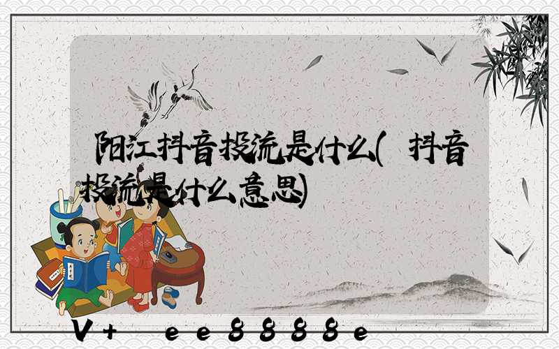 阳江抖音投流是什么(抖音投流是什么意思)