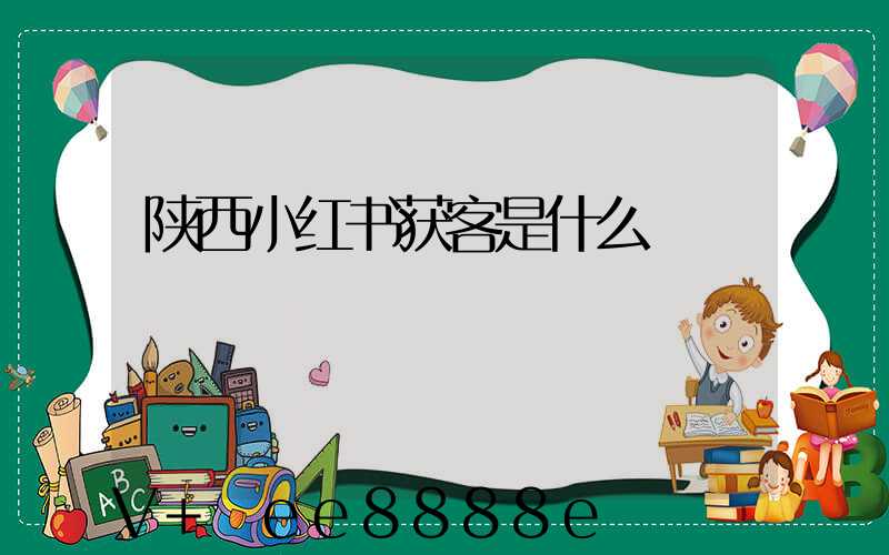 陕西小红书获客是什么