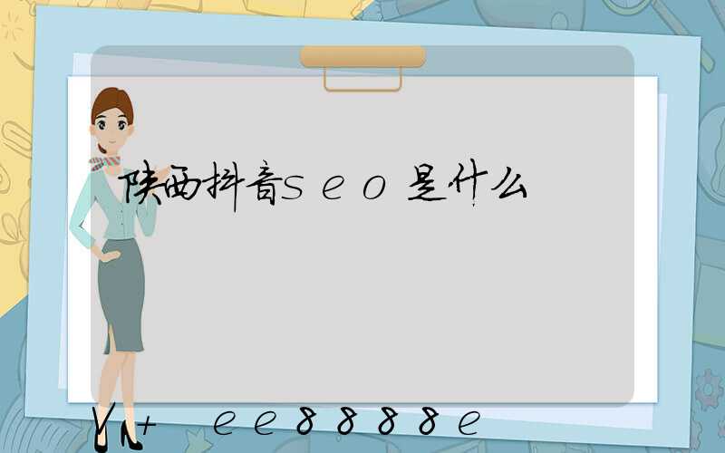陕西抖音seo是什么