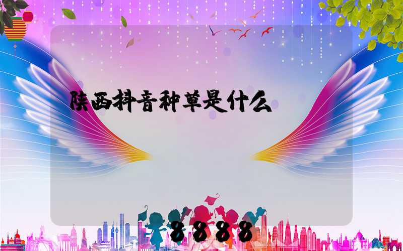 陕西抖音种草是什么