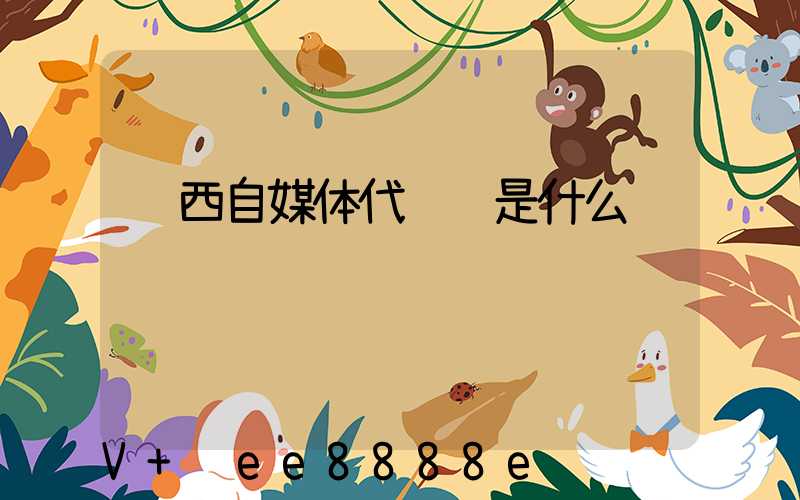 陕西自媒体代运营是什么