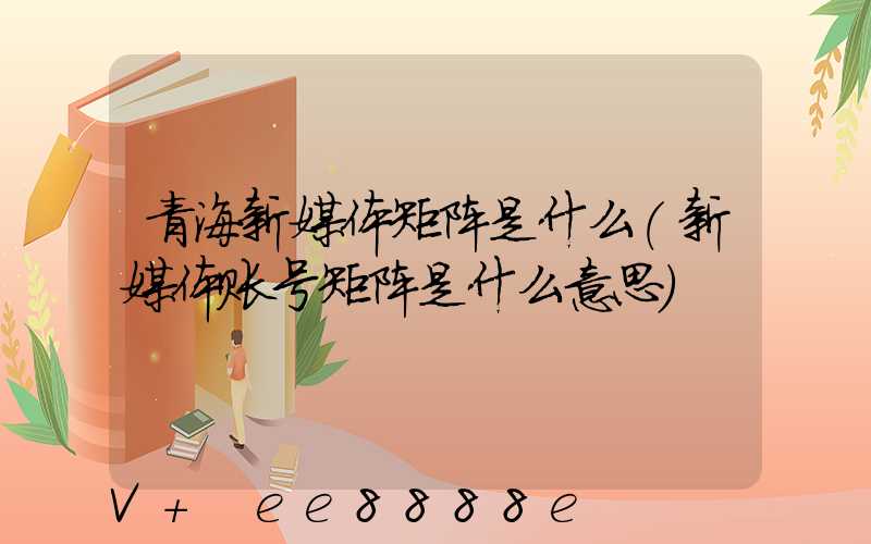 青海新媒体矩阵是什么(新媒体账号矩阵是什么意思)