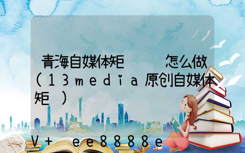 青海自媒体矩阵营销怎么做(13media原创自媒体矩阵)