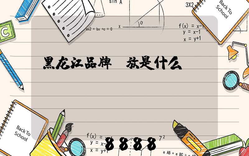 黑龙江品牌投放是什么