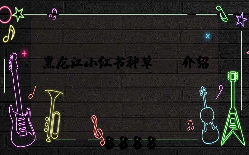 黑龙江小红书种草ai介绍